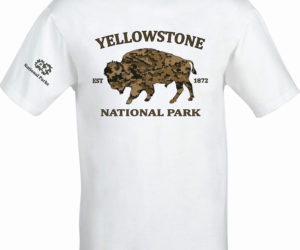Yellowstone Bison – National Parks