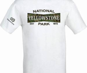 Yellowstone Bowtie (Forest) – National Parks