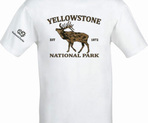Yellowstone Elk – National Parks