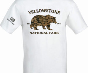 Yellowstone Grizzly – National Parks
